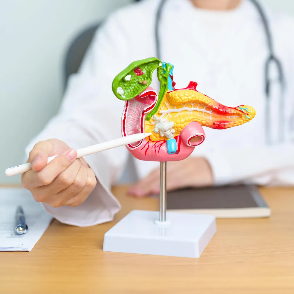 Best gastroenterologist in Jacksonville providing expert digestive health solutions, diagnosis, and treatment for chronic digestive disorders and gastrointestinal symptoms