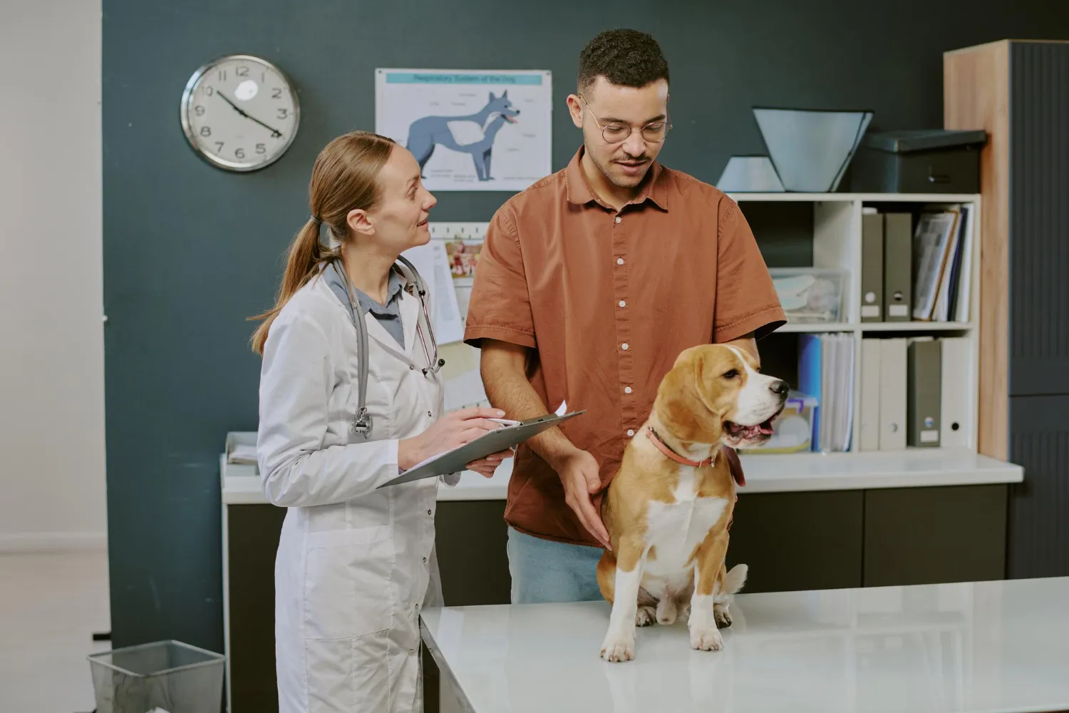 Veterinarian discussing pet treatment options with dog owner at a compounding pet pharmacy clinic